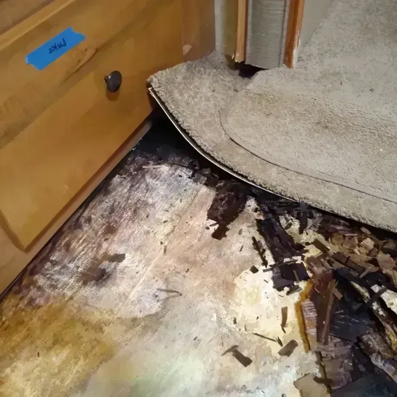 Wood Floor Water Damage in Bradford County, FL